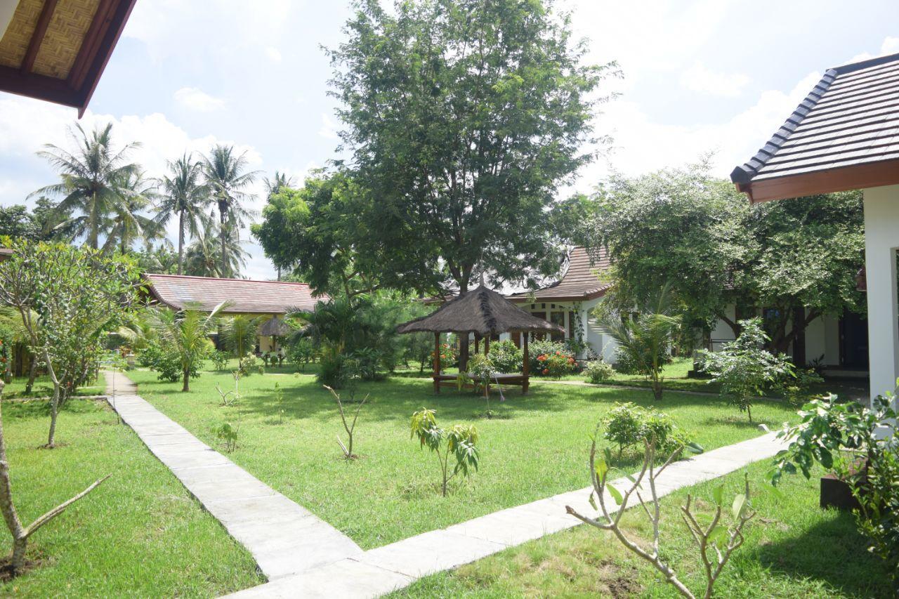 Bidara Labuhan Pandan